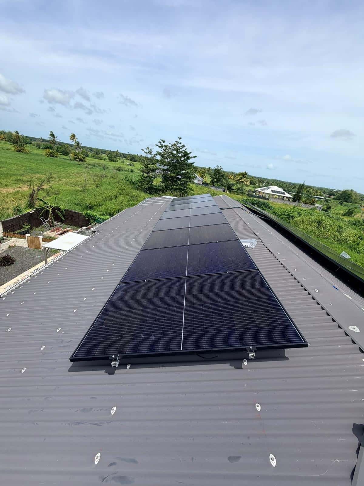 Une rangée de panneaux solaires noirs sur une longue toiture en tôle grise, champs et cocotiers, Guadeloupe