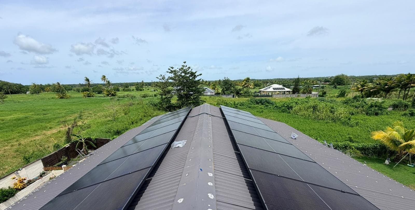 Panneaux solaires sur les deux pans d’une toiture en tôle grise, de part et d’autre du faîtage, champs et cocotiers